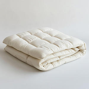 Colchón Futón Plegable Portátil Estilo Japonés con Funda de Algodón, Firmeza Media para Dormitorio, Hogar, Escuela, Hospital - Product Image 1