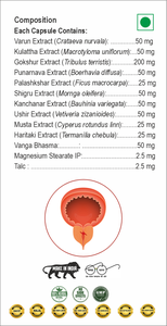 Cápsulas Herbales GraciProst para el Cuidado de la Próstata con Vanga Bhasma, Extracto de Plantas Botánicas Shilajit y Fórmula con Ingredientes Ayurvédicos - Product Image 4