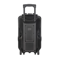 Altavoces Inalámbricos Portátiles para Exteriores de 12 Pulgadas con Bluetooth 5.0, Iluminación LED RGB, Bajos Profundos, Sonido Nítido, 2 Micrófonos, Salida de 20W, Micrófono Integrado