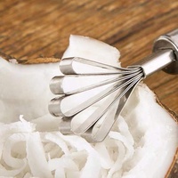 Huis Keuken Multifunctionele Vis Schaal Dunschiller Coconut Rasp Slicer Schraper Roestvrijstalen Mes Kokosnoot Vlees Removal Tool