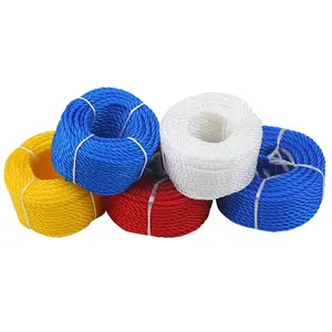 Fabricant professionnel PE corde torsadée corde de Ski nautique 6 mm 8 mm haute qualité pour l'emballage des Sports aquatiques