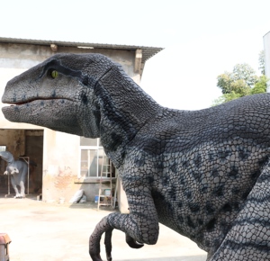 ชุดไดโนเสาร์เวโลซีแรปเตอร์สีน้ำเงินแบบสมจริง ปี 2026 สำหรับผู้ใหญ่  ออกแบบตามสั่ง คุณภาพระดับมืออาชีพ สีสันสดใส เหมาะสำหรับสวนสนุก - Product Image 5