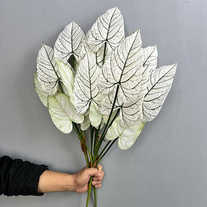 68CM Simulation 5 PCS Feuille d'<span class=keywords><strong>Arum</strong></span> pour Décoration de Jardin Impression 3D Verdure Artificielle de Haute Qualité Plante d'<span class=keywords><strong>Arum</strong></span> - Product Image 6