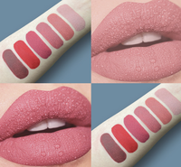 Rouge à lèvres liquide mat longue tenue 24h, imperméable, personnalisation de l'emballage, logo, maquillage, fournisseur de gloss à lèvres avec étiquette personnalisée