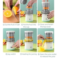 Presse-Agrumes Mini Portable USB pour Jus d'Orange, Machine d'Extraction à Froid Lente pour Fruits, Vente en Gros