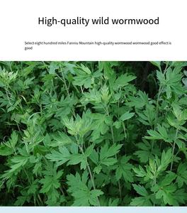 Deodorize אוניברסלי עבור חתולים וכלבים לחיות מחמד & תוספת - Product Image 6