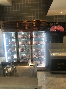 Refrigerador de envejecimiento seco de carne - Product Image 5