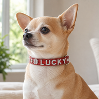 Collier personnalisé pour animaux de compagnie, style dessin animé, en cuir PU pailleté avec lettres coulissantes en strass, pour chien et chat, réglable de 19 à 56 cm
