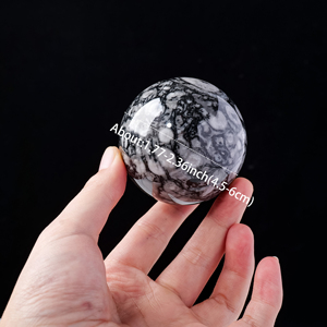 Boule de cristal de guérison naturelle en gros sphère fossile <span class=keywords><strong>Orthoceras</strong></span> polie pour cadeau souvenir - Product Image 6