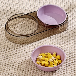 Bol transparent pour chat avec rebord incliné, design double bol pour protéger le cou du chat et éviter que le bol ne s'incline ; bol pour chien - Product Image 3