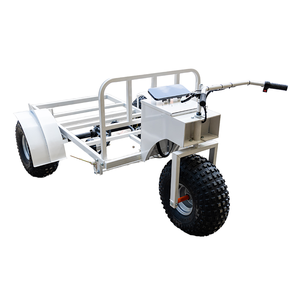 Custom Elektrisch Ijs Platform Kar Display Driewieler Ijskar Elektrische Trolley Ijs Handkar - Product Image 4