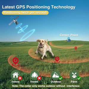 Collier de dressage pour chien Cavaller avec GPS, étanche, pour utilisation en extérieur, pour animaux de compagnie, lot de 2, nylon noir - Product Image 2