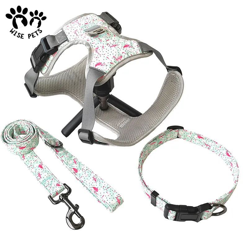 Produk hewan peliharaan penjualan terbaik kalung Anjing ramah lingkungan dapat disesuaikan Harness penuntun Logo karet kustom kalung dan tali anjing logam Set