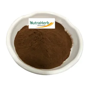 Nhà máy cung cấp trà saponin bột Chất lượng cao Camellia Sinensis chiết xuất mẫu miễn phí trà saponin với chất lượng đáng tin cậy