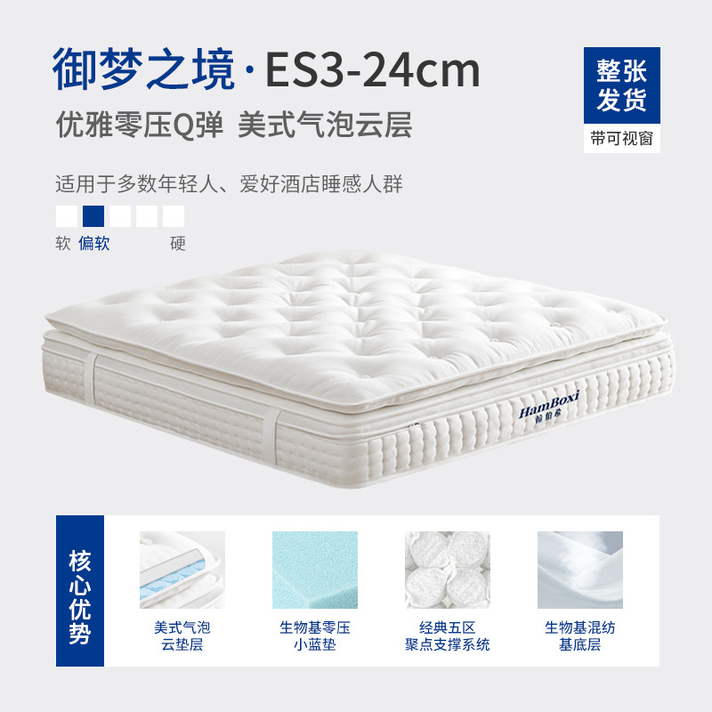 ดรีมแลนด์ ES3: สง่างาม ไร้แรงกดดัน และเด้งดึ๋ง