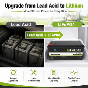 Batterie LiFePO4 25,6 V 100 Ah 2,56 kWh, remplacement pour batteries au plomb-acide pour système solaire de camping-car et alimentation de secours, protégée par BMS, 6000 cycles - Product Image 5