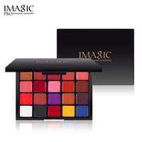 IMAGIC professionnel maquillage des lèvres cosmétique 20 couleurs maquillage quotidien maquillage de fête longue durée étanche rouge à lèvres Palette