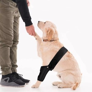 Attelle de soutien pour genou de chien, stabilisateur d'articulation doux et respirant pour chiens âgés, taille SMLXL - Product Image 1