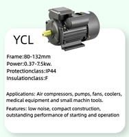 Moteur électrique domestique YCL 0,37 kW-7,5 kW, 2/4 pôles, à condensateur double valeur, asynchrone monophasé CA