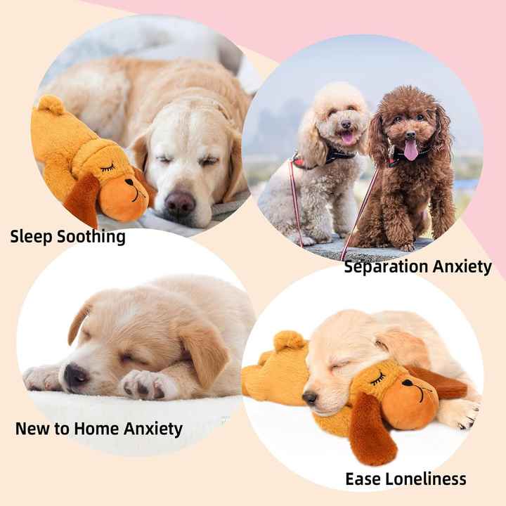 Reduce Anxiety Music For Separation Anxiety In Dogs Stop Barking