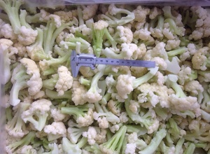 Giá bán buôn 1kg 3-5cm iqf Rau đông lạnh súp lơ trắng tươi - Product Image 4