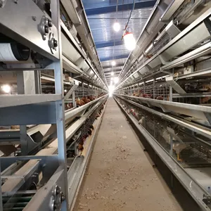 complete capacity automatic poultry chicken broiler battery cage farm house building raising farming husbandry machine equipment