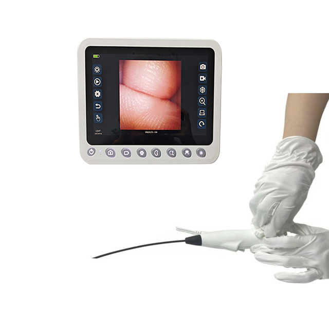 Video Proctoscope 3.8mm Disposable Choledochoscope 360 Degree Bending Surgical Monitor Veterinary and Human Body