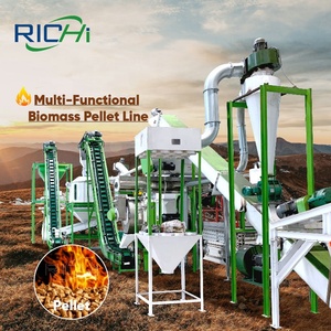 Richi SINH KHỐI <span class=keywords><strong>granulator</strong></span> năng lượng-hiệu Quả 1-2T/h Tre tự động efb gỗ PELLET thực vật để bán - Product Image 1