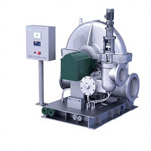 중국산 수출 표준 역압 증기 터빈, 발전용 국제 표준 준수. - Product Image 4