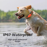 Mini traceur GPS pour animaux de compagnie 4G étanche IP67, collier anti-perte avec suivi en temps réel et autonomie de 1 an pour chiens