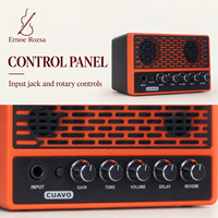 Amplifier Gitar Elektrik dengan Kontrol Drive Gain Tone Volume, Casing ABS, Sempurna untuk Speaker Ringan Luar Ruangan