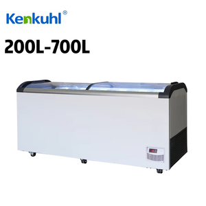 Kenkuhl לוגיסטיקה גלובלית תמיכה מסחרית במקפיא גלידות מקפיאים חזה מקפיאים - Product Image 3