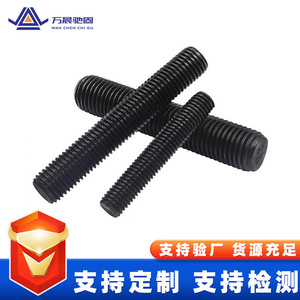 Vis à tête ronde Wan Chen Chi Gu à filetage complet M16 M30 M36, grade 10.9, pour l'industrie chimique, OEM personnalisé - Product Image 3