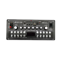 Kit d'amplificateur de puissance, module de carte pour haut-parleur actif, amplificateur de puissance audio professionnel