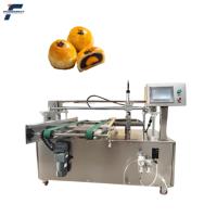 Machine de brossage d'oeufs de boulangerie d'équipement de revêtement liquide d'oeufs de 220V à vendre la machine de brossage liquide d'oeufs avec l'épandeur