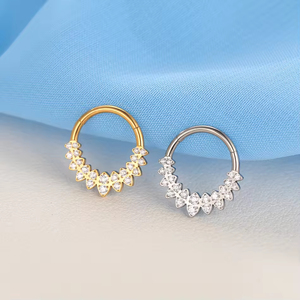 G23 Titane Anneau à segments articulés avec double ligne CZ Bijoux Piercing Nez Boucle d'oreille <span class=keywords><strong>Helix</strong></span> Ear Ring - Product Image 3