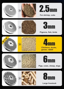 Machine de traitement des aliments et de granulation directe en usine, pour moulin à marteaux à <span class=keywords><strong>granulés</strong></span> et machine à <span class=keywords><strong>granulés</strong></span>, <span class=keywords><strong>prix</strong></span> de gros, Offre Spéciale - Product Image 4