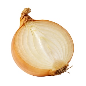 <span class=keywords><strong>Oignon</strong></span> jaune frais de qualité supérieure en gros au meilleur prix - Product Image 3