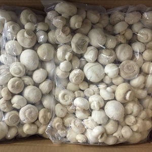 IQF fetta di fungo Champignon 100% congelato/intero/fungo bianco Shiitake fungo selvatico/coltivato - Product Image 1