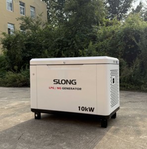 Generador Residencial SLONG de 5-20kW Multicombustible (GLP/<span class=keywords><strong>Gas</strong></span> Natural) de Fábrica OEM - Product Image 4