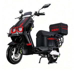 Motocicleta Deportiva Kaiku de Dos Plazas, Alto Rendimiento, Batería de Larga Duración, Diseño Ligero, 60V, Velocidad Máxima >80km/h - Product Image 3