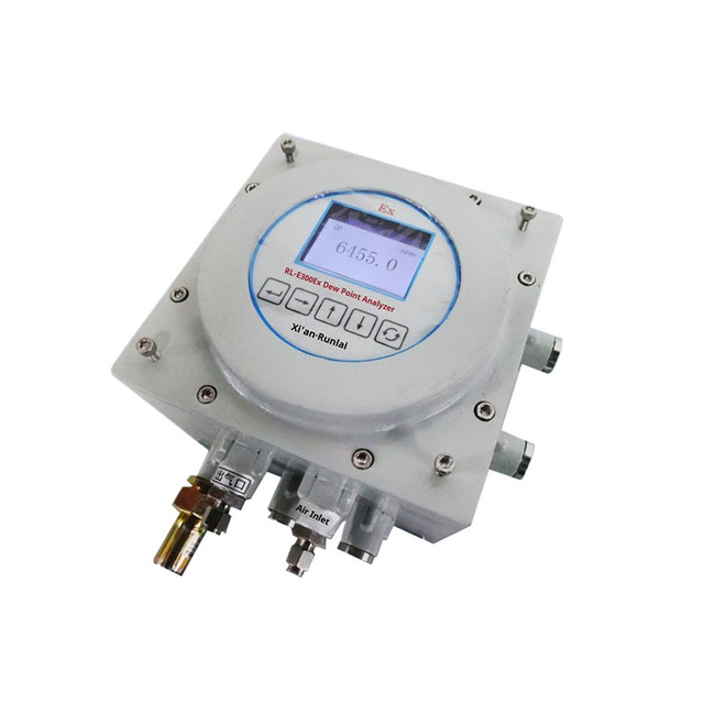 Runlai Durable E300Ex Explosion Proof Gas Dew Point Meter Micro Water Tester Trace Water Analyzer Customizable Detector