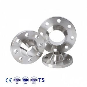 Đồng-niken Vòng rèn mặt bích với mù/trượt/hàn cổ/ren tùy chọn đánh bóng bề mặt tùy chỉnh kích thước - Product Image 2