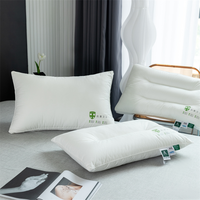 Oreiller d'hôtel pour la protection cervicale, aide au sommeil, antibactérien, anti-acariens, 200TC, noyau solide, pour la maison et les étudiants