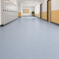 PVC-Vinylbodenbelag 2mm Wasserdicht Kratzfest Umweltfreundlich Heterogener Vinylbelag für Gewerbe Büro Einkaufszentrum Schule