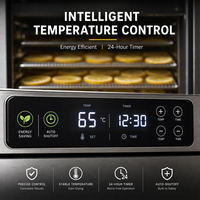 RVS SUS304 Hetelucht Droogmachine Elektrische Verwarming PLC Gecontroleerd Automatische Groente- en Fruitverwerking Continu