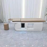 Fauteuil de lavage de luxe Winplus marron pour salon de beauté, spa capillaire, massage thaïlandais et spa japonais pour la tête