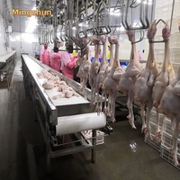 Machine d'abattage de poulets pour abattoir, capacité 5000 volailles par heure, prix