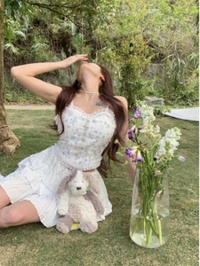 Camisola Corta de Encaje con <span class=keywords><strong>Estampado</strong></span> Francés de Verano para <span class=keywords><strong>Mujer</strong></span>, Top de Tubo Elegante y Ajustado, <span class=keywords><strong>Chaleco</strong></span> Corto, Moda Urbana Y2k - Product Image 5