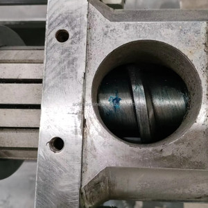 Pressa per <span class=keywords><strong>Olio</strong></span> a Freddo AOLS per Semi d'Uva e Avocado, Macchina per Piccole Industrie - Product Image 3